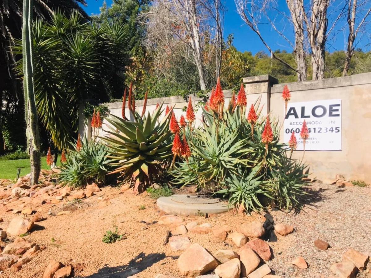 Aloe Guesthouse Klerksdorp Exterior photo